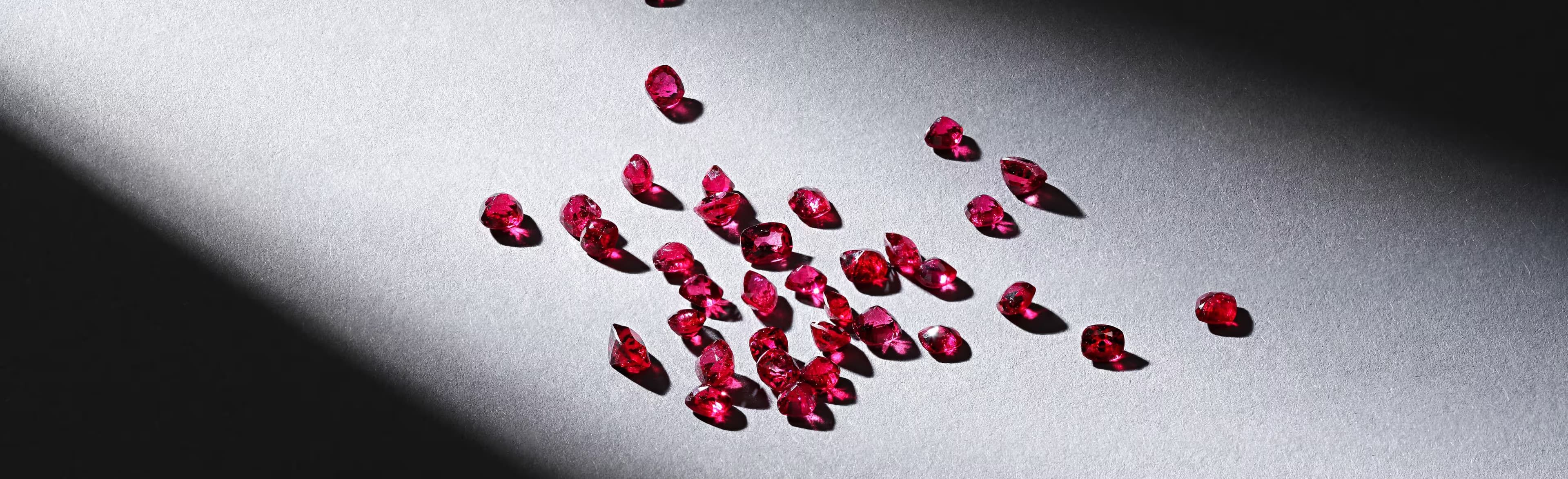 About Our Suppliers